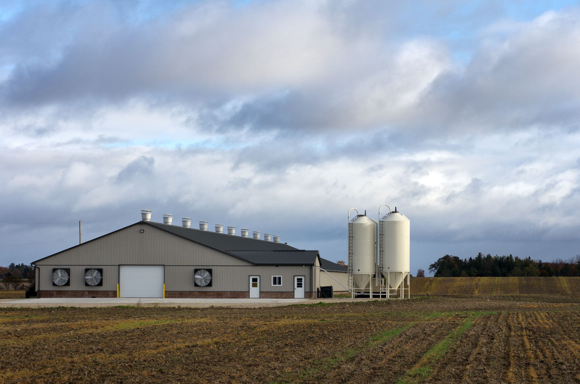 Steel livestock barn with dual grain silos on a rural farm in Texas